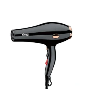 DSP 30101 Professional Hair Dryer