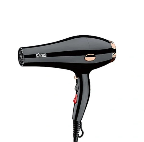 DSP 30101 Professional Hair Dryer