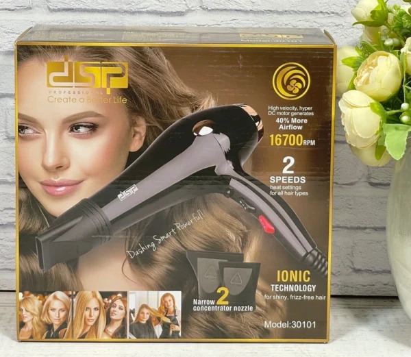 DSP 30101 Professional Hair Dryer