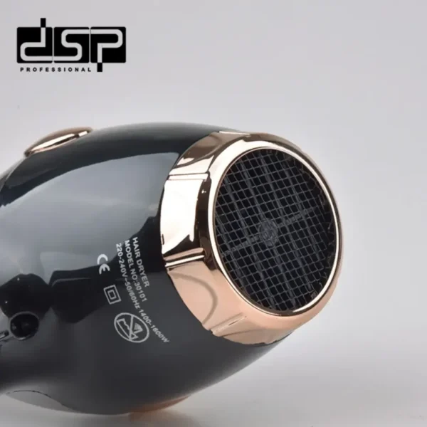 DSP 30101 Professional Hair Dryer