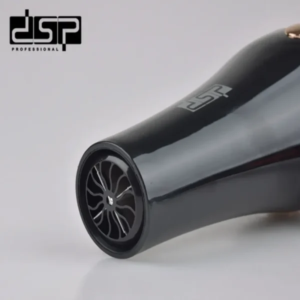 DSP 30101 Professional Hair Dryer