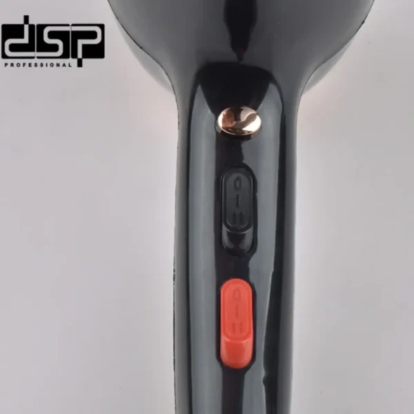 DSP 30101 Professional Hair Dryer